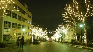 何れの坂も見ごたえあり