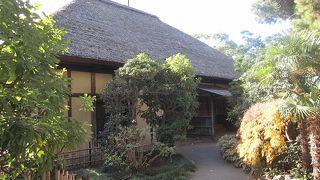 代官屋敷は彦根藩世田谷領の代官「大場家」が使用した屋敷です。