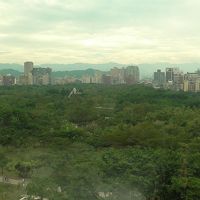 窓から見た森林公園の緑