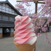 松前藩屋敷の中でさくらソフトを食べて休憩