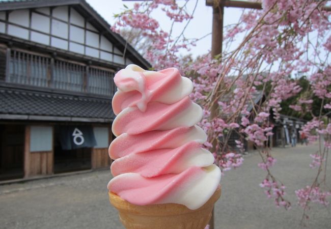 松前藩屋敷の中でさくらソフトを食べて休憩