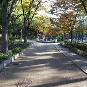 都会の中の静かな公園