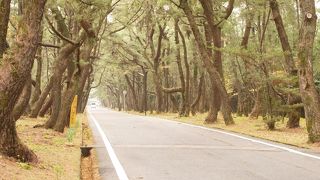 古きよき日本が残っている