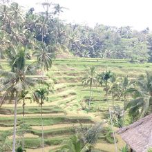 ガゼボから見た景色。美しかったです。