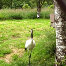 こっち向いたーーー！