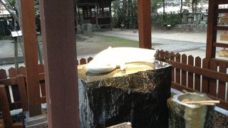 豊玉姫神社  嬉野