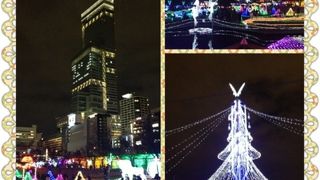 イルミの動物園☆