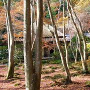 祇王寺のいいところ！