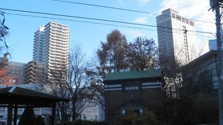 鴨々川のほとりにたつ