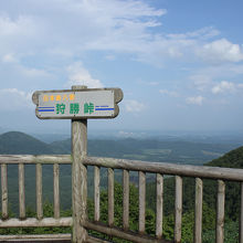 展望台からの景色