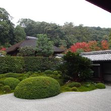 一休寺の方丈庭園