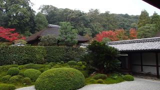 11月10日に訪れたら、まだ紅葉には少し早かったです