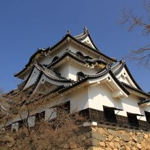 堂々たる姿の彦根城。