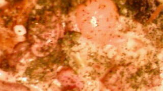 表参道駅に直結