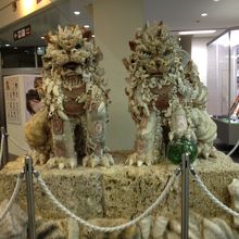 2013年2月に撮りました