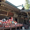 福達磨発祥のお寺！