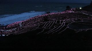 ＬＥＤ点灯で闇に浮かびあがる白米千枚田の風景