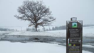 由来はタバコのセブンスター