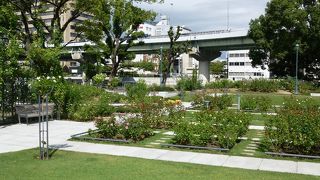 広い範囲の遊歩道、です。中之島緑道です。