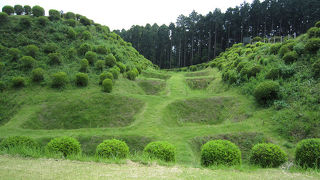 東海道の要所にそびえる城跡。
