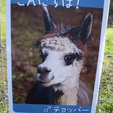 顔写真も掲示されていました