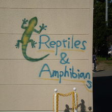 爬虫類館入口には、一応英語で両生類の表記が…（汗）