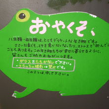 頑張れ！カエルさん！！