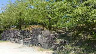 わずかな面影の柳川城跡