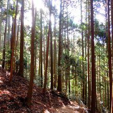 鞍馬山 （クラマヤマ）