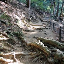 鞍馬山 （クラマヤマ）