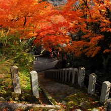 鞍馬山 （クラマヤマ）
