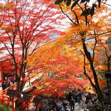 鞍馬山 （クラマヤマ）