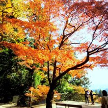 鞍馬山霊宝殿前の紅葉