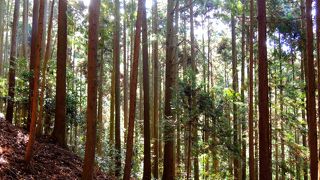 キツイ山道でした･･･