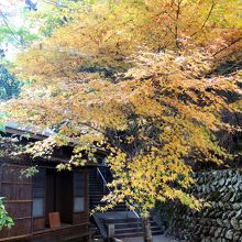 冬柏亭（与謝野晶子書斎）