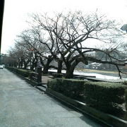 犀川沿いの静かな散歩道