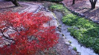 さすがにいいですね