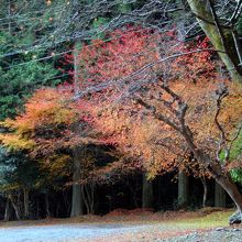 山門付近の駐車場