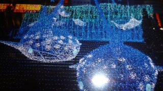 イルミネーションがきれいです