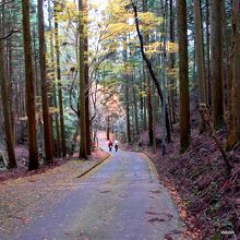 山門から本堂までの坂道