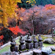 本堂からの景色