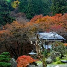 本堂からの景色