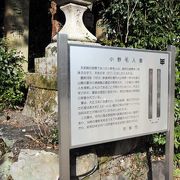 京都市内に残る奈良時代前期の数少ない遺跡