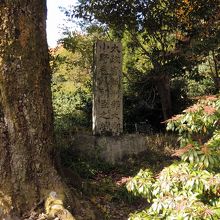 小野毛人（おの　えみし）の墓は、奈良時代前期の墓で国宝