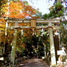 崇導神社（すどうじんじゃ）　京都市左京区上高野