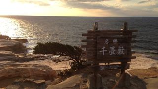 だって白浜にきたのだから