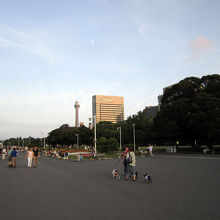 公園内。