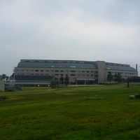 朝の散歩時，ゲレンデ側から