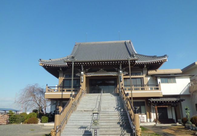 建物は新しいです