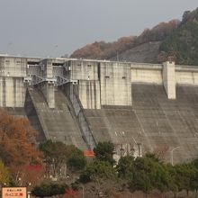 ダム